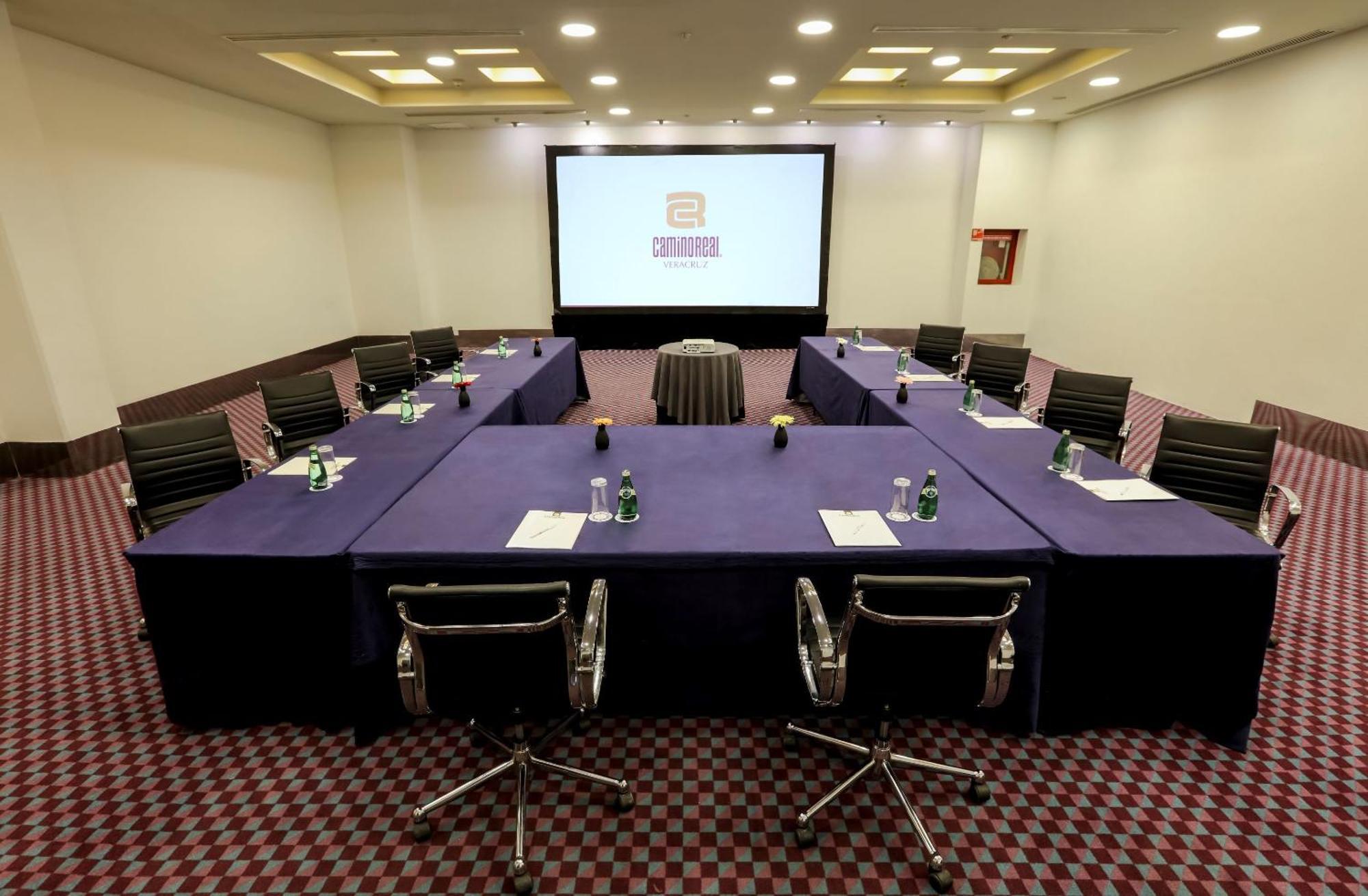 Camino Real Веракрус Экстерьер фото Meeting room